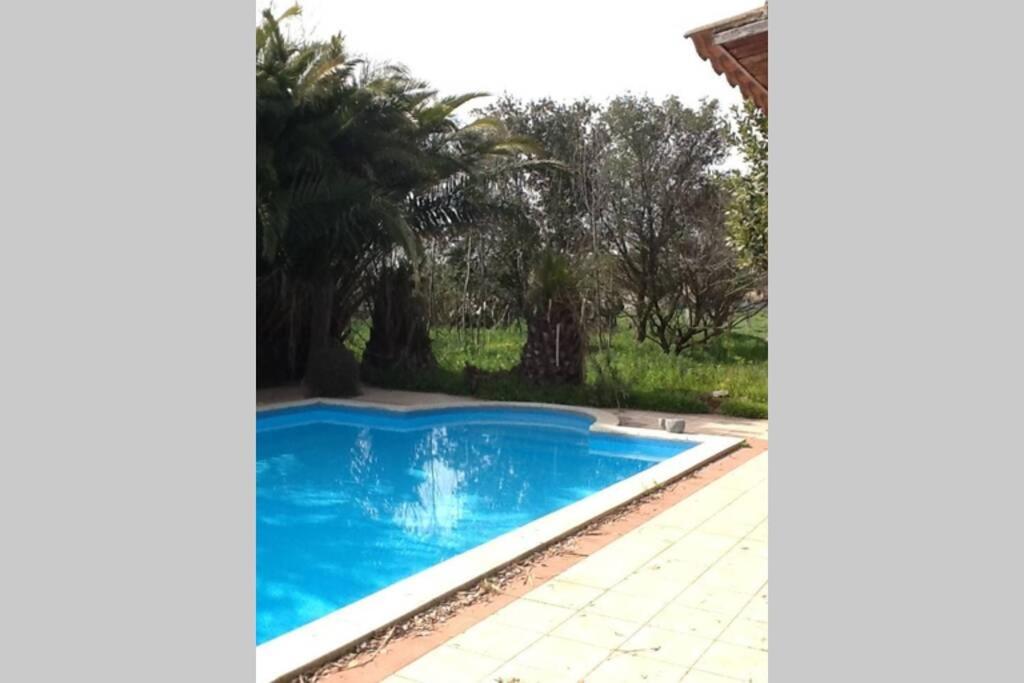 Sestu Big Relax Apartment With Swimming Pool And A Peaceful Garden In A Private Villa מראה חיצוני תמונה