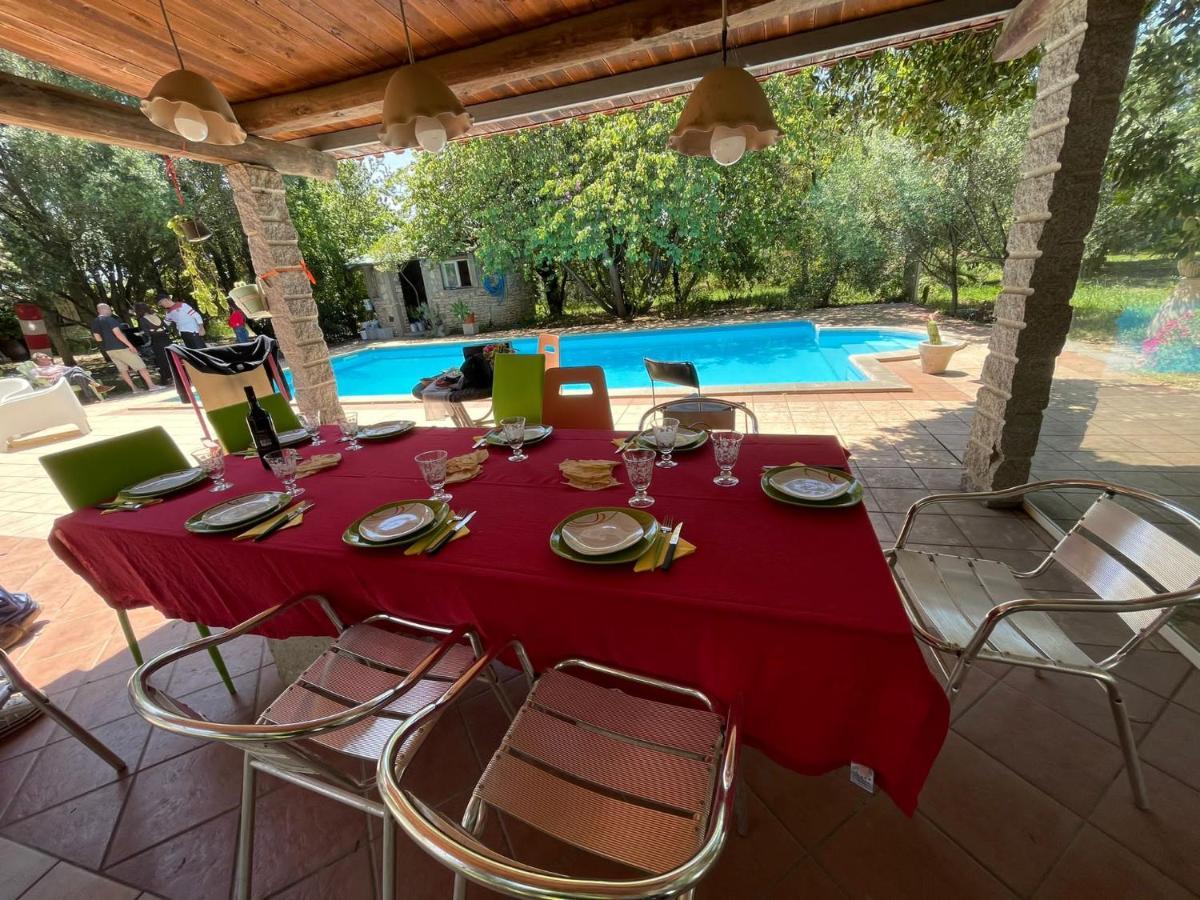 Sestu Big Relax Apartment With Swimming Pool And A Peaceful Garden In A Private Villa מראה חיצוני תמונה