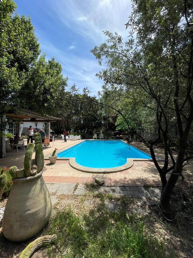 Sestu Big Relax Apartment With Swimming Pool And A Peaceful Garden In A Private Villa מראה חיצוני תמונה