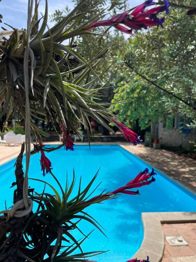 Sestu Big Relax Apartment With Swimming Pool And A Peaceful Garden In A Private Villa מראה חיצוני תמונה